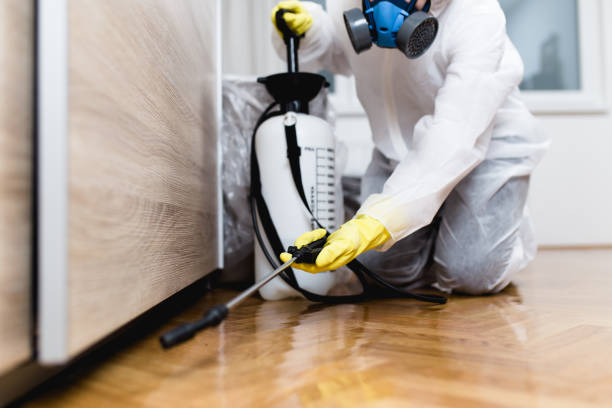 Best Affordable Pest Control Services  in Sea Girt, NJ