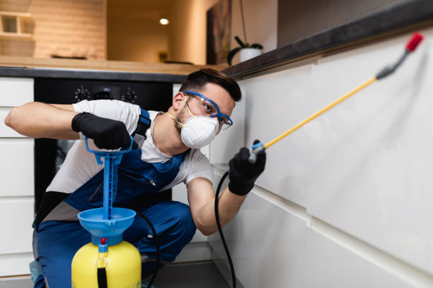 Trusted Sea Girt, NJ Pest Control Experts