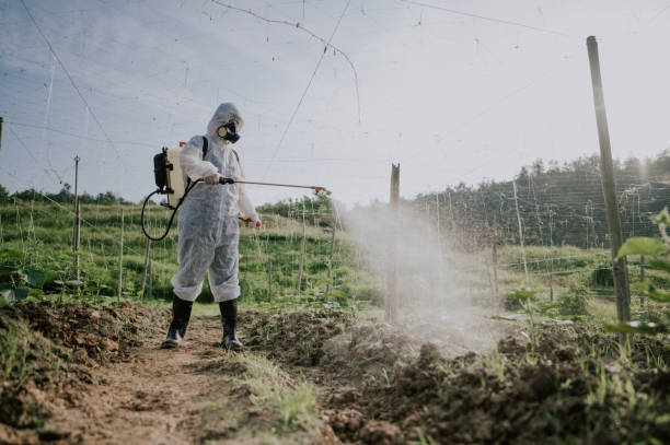 Best Mosquito Control Services  in Sea Girt, NJ