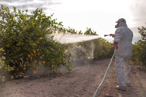 Best Exterminator Services  in Sea Girt, NJ