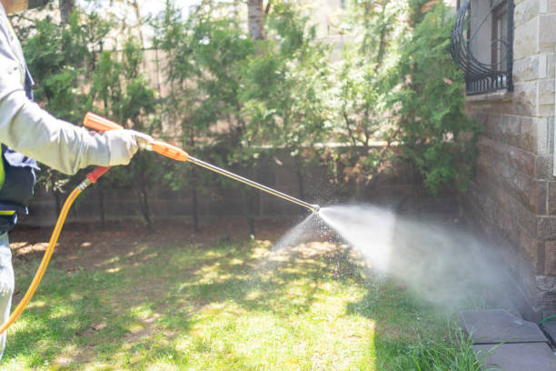 Wasp Removal Services in Sea Girt, NJ