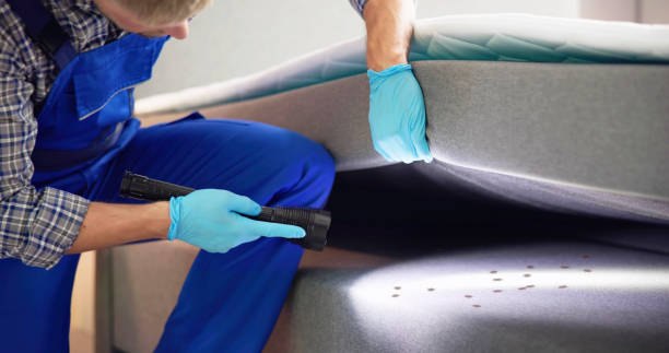 Best Emergency Pest Control  in Sea Girt, NJ