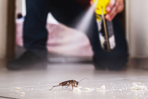 Pest Control Cost in Sea Girt, NJ