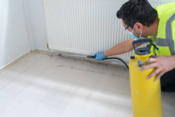 Best Pest Removal Services  in Sea Girt, NJ